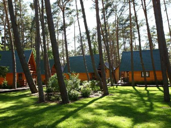 Domki letniskowe Avalon