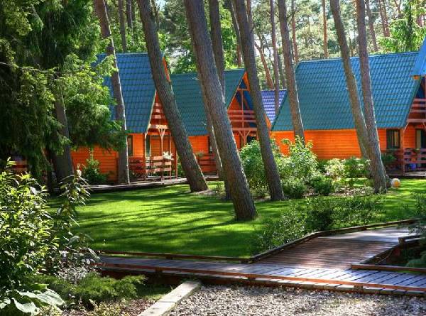 Domki letniskowe Avalon