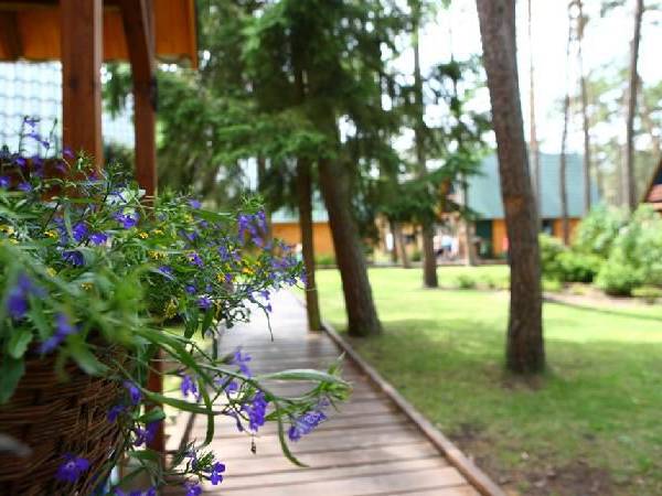 Domki letniskowe Avalon