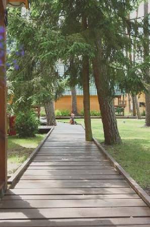 Domki letniskowe Avalon