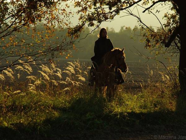 Wycieczki konne fot. Marzena Józefczyk