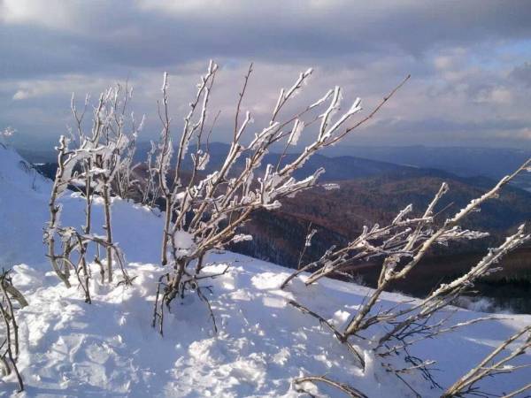 Połonina Wetlińska