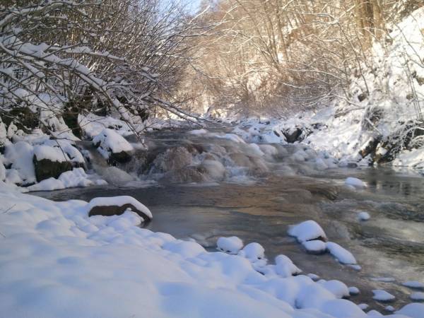 Wołkowyjka w Styczniu