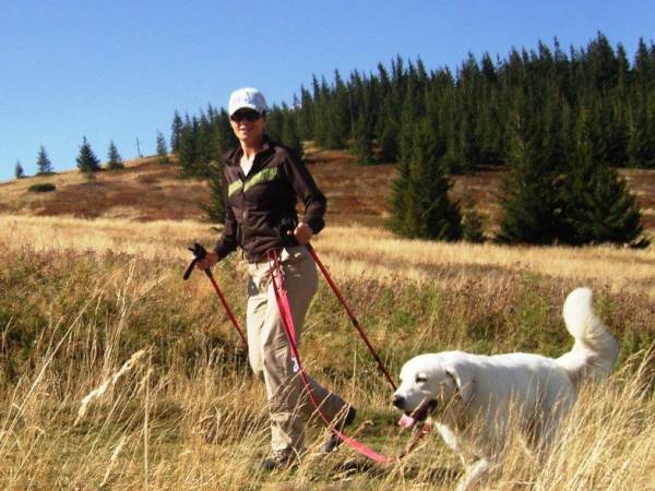 Dom na wynajem Pod Gronikiem