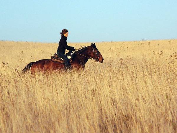 Huba fot. Marzena Józefczyk