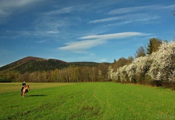 W drodze do Międzygórza fot. Marzena Józefczyk