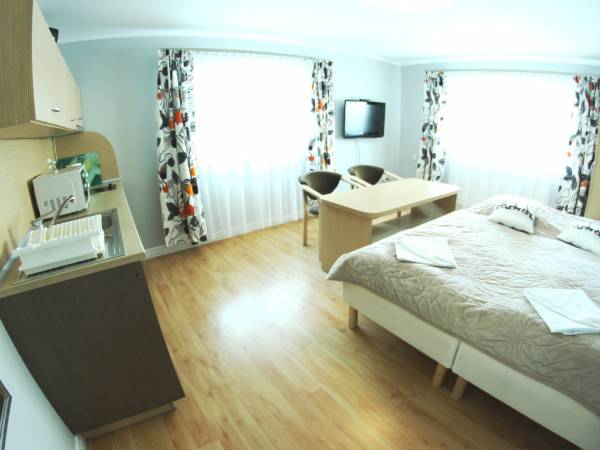 STUDIO pokój duży z aneksem kuchennym