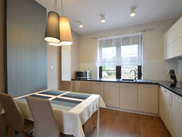 Apartament z tarasem--kuchnia