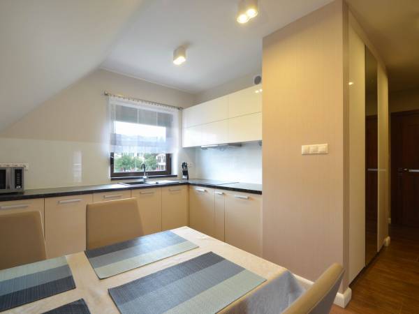 Apartament z balkonem-kuchnia