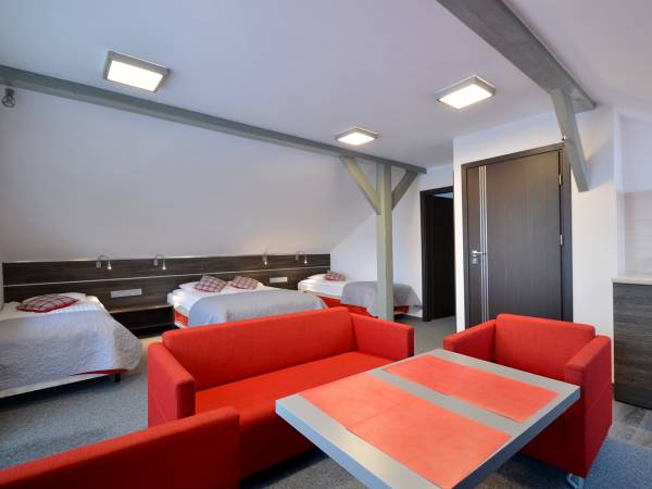 apartament czteroosobowy z aneksem kuchennym i balkonem 