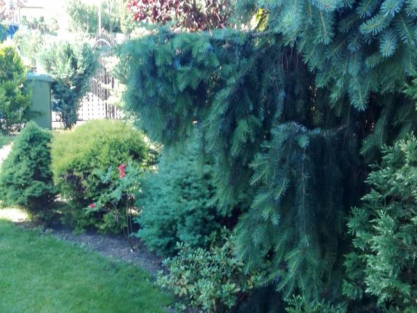 Pokoje u Teresy Kołobrzeg