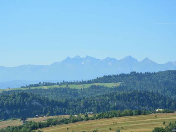 Pensjonat Willa Pienińska