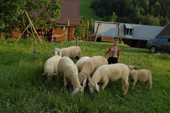 Pokoje Gościnne przy stoku