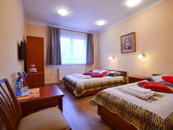 Apartament 7 Toruń