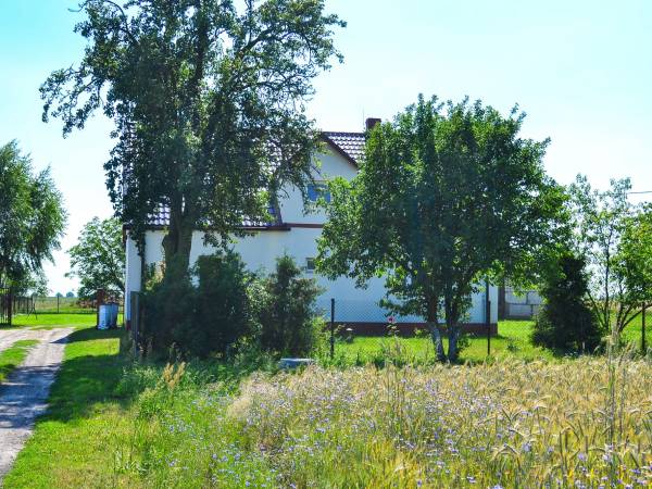 Pokoje Gościnne Pod Brzózką