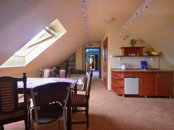 pokój typu studio-poddasze