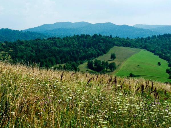 Chmielowskie Klimaty