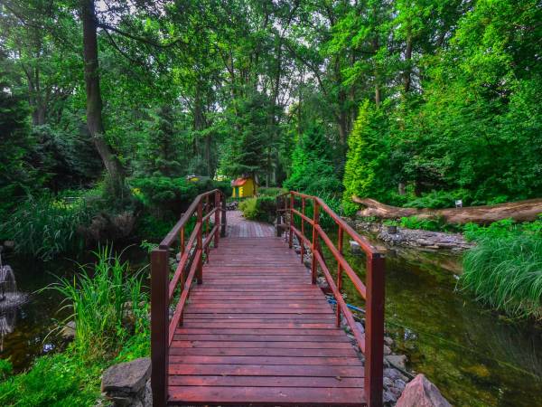 Ośrodek Rehabilitacyjny Leśna Polana