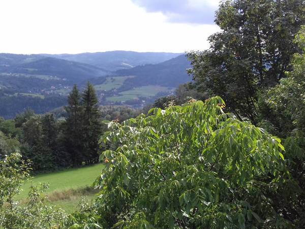 Widok z okien na gory