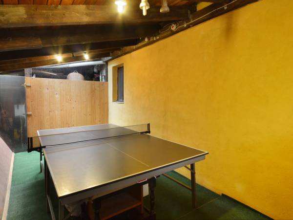 stół ping-pongowy