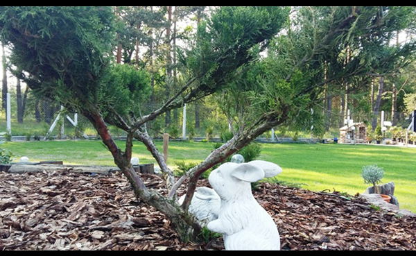 Willa pod Lasem Agro-Jeleń