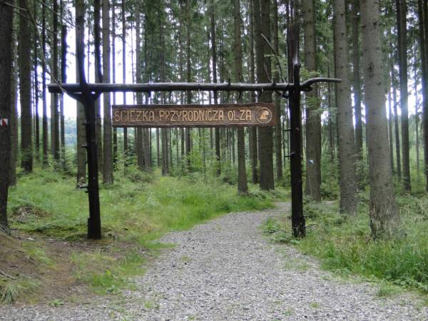 Apartamenty i domki Neve