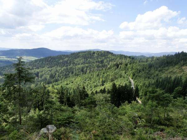 Apartamenty i domki Neve