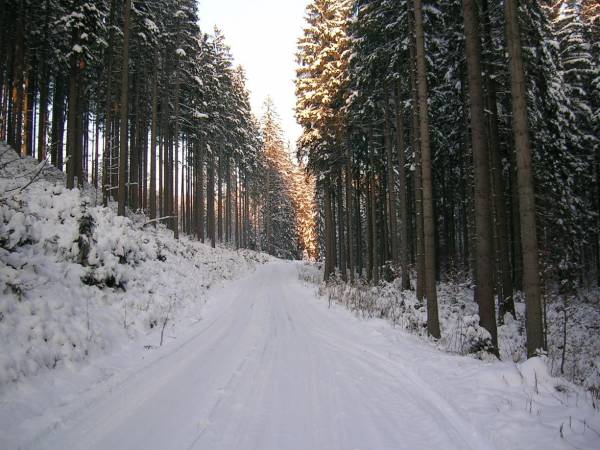 Apartamenty i domki Neve