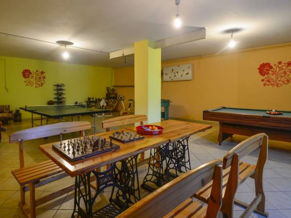 sala gier - bilard, ping pong, piłkarzyki, mini biblioteczka, kominek