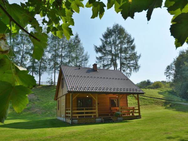 Domek Pod Modrzewiem 