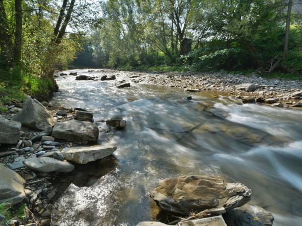 Domek Pod Modrzewiem 