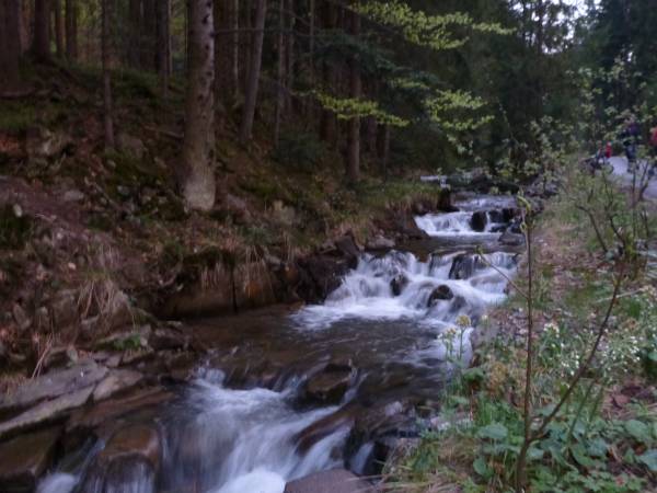 Domki Całoroczne Na Borach