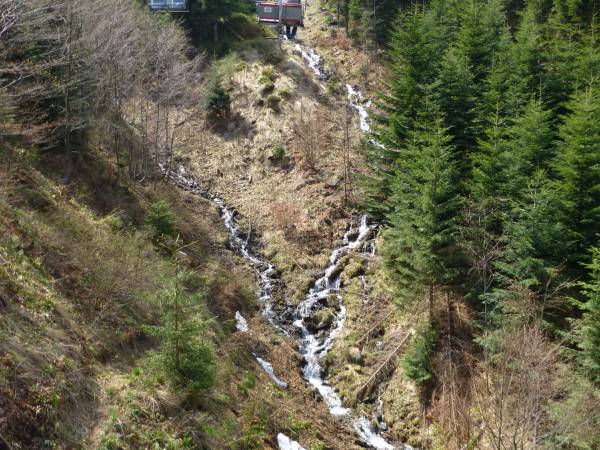 Domki Całoroczne Na Borach