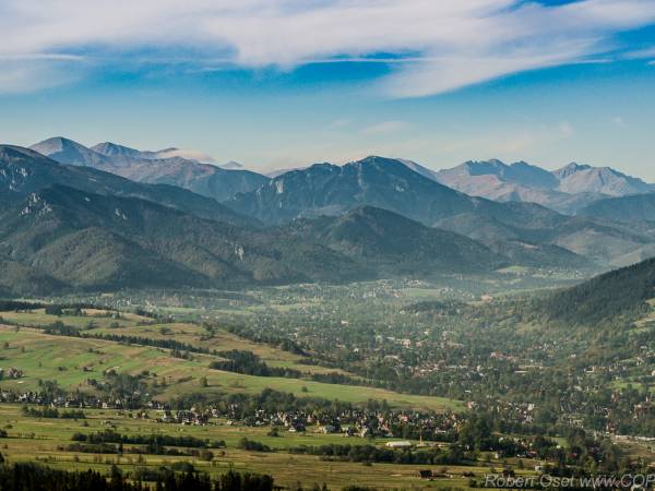 Pokoje Gościnne Stołowe