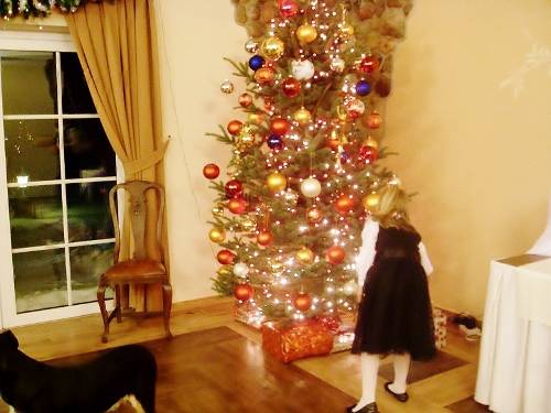 Świąteczna choinka w Mazurskiej Chacie