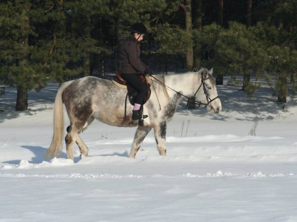 Baśniowe Chaty Hobbitów w Ośrodku Jeździeckim Skręt