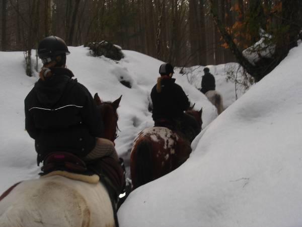 Baśniowe Chaty Hobbitów w Ośrodku Jeździeckim Skręt