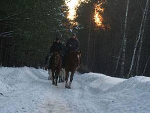 Baśniowe Chaty Hobbitów w Ośrodku Jeździeckim Skręt