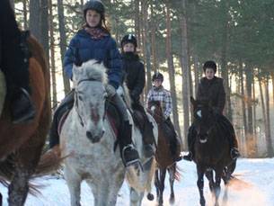 Baśniowe Chaty Hobbitów w Ośrodku Jeździeckim Skręt