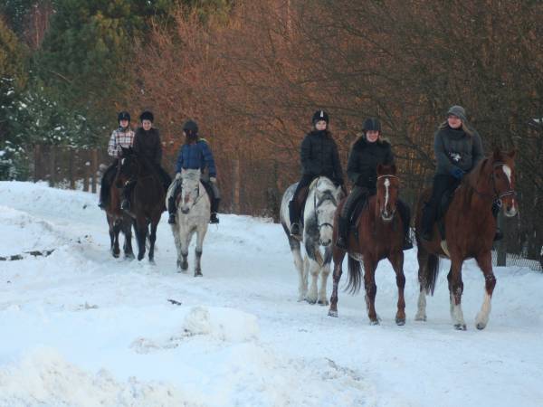 Baśniowe Chaty Hobbitów w Ośrodku Jeździeckim Skręt