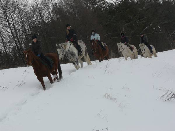 Baśniowe Chaty Hobbitów w Ośrodku Jeździeckim Skręt