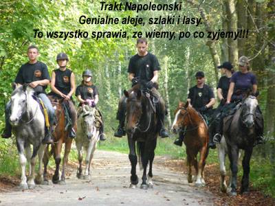 Baśniowe Chaty Hobbitów w Ośrodku Jeździeckim Skręt