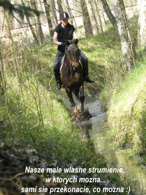 Baśniowe Chaty Hobbitów w Ośrodku Jeździeckim Skręt