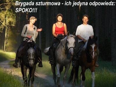 Baśniowe Chaty Hobbitów w Ośrodku Jeździeckim Skręt