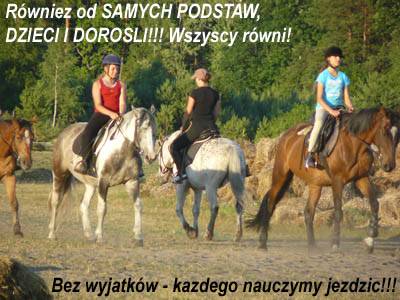 Baśniowe Chaty Hobbitów w Ośrodku Jeździeckim Skręt