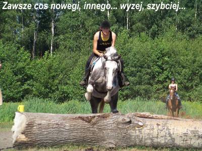 Baśniowe Chaty Hobbitów w Ośrodku Jeździeckim Skręt