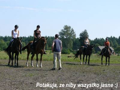 Baśniowe Chaty Hobbitów w Ośrodku Jeździeckim Skręt
