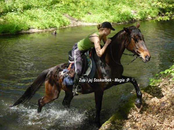 Baśniowe Chaty Hobbitów w Ośrodku Jeździeckim Skręt
