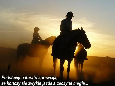 Baśniowe Chaty Hobbitów w Ośrodku Jeździeckim Skręt