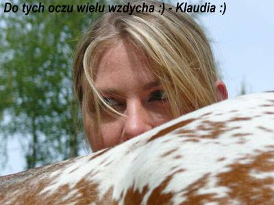 Baśniowe Chaty Hobbitów w Ośrodku Jeździeckim Skręt